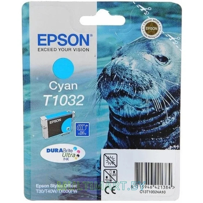 Картридж Epson C13T10324A10